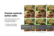 20 Cider Lightroom Presets and LUTs, a Preset Add-On by SparkleStock (Thumbnail 11 of 13)