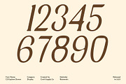 CS Explore Drawn, a Serif Font by Craft Supply Co. (Thumbnail 5 of 8)