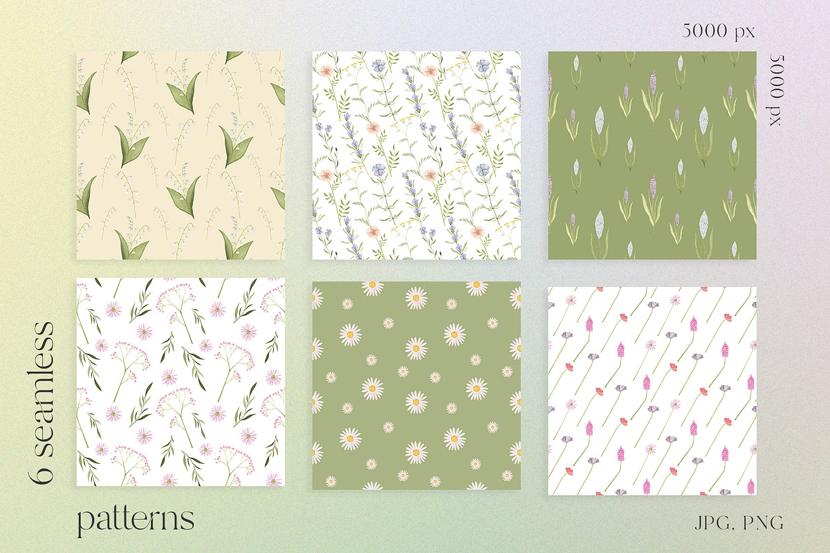 Wildflowers watercolor collection, an Illustration by viktoriiavk (Photo 5 of 11)