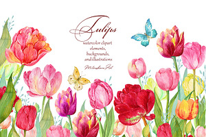 Tulips Clipart Watercolor