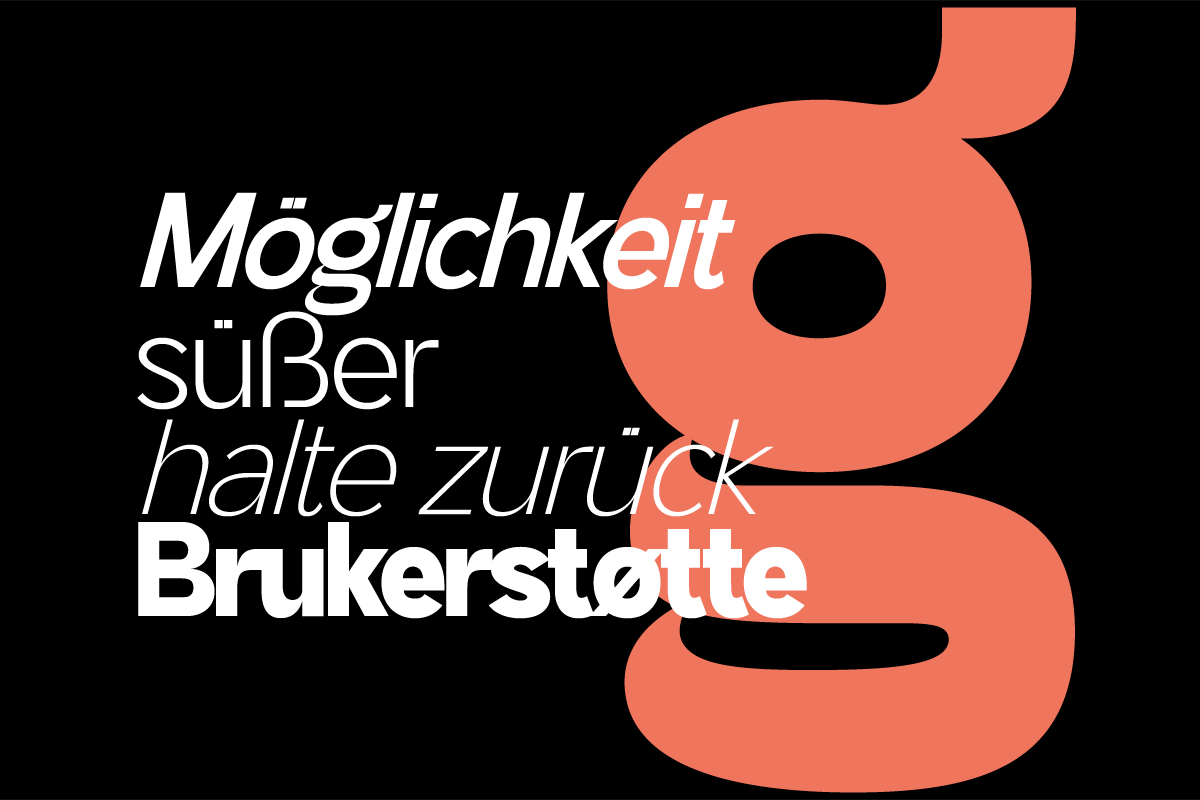 Stagnan, a Font by ArimaType (Photo 8 of 9)