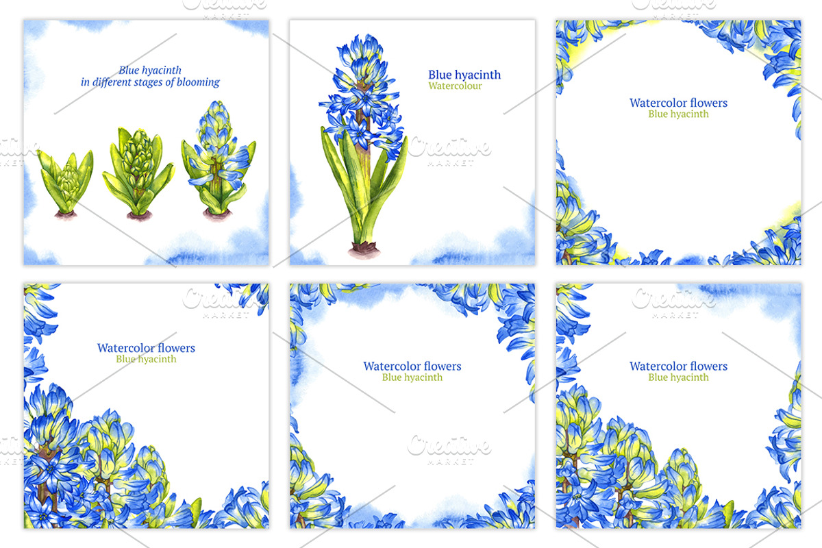 Vector watercolor hyacinth, a Decorative Illustration by Evgeniia Zagreeva (Photo 2 of 2)