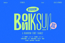 BONIKSUN Typeface