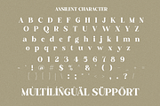 Ansilent - Modern Serif Font, a Serif Font by RagamKata (Thumbnail 9 of 10)