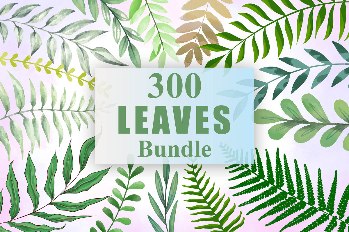 Leaves, a Decorative Illustration by Digital Studio (Photo 1 of 7)