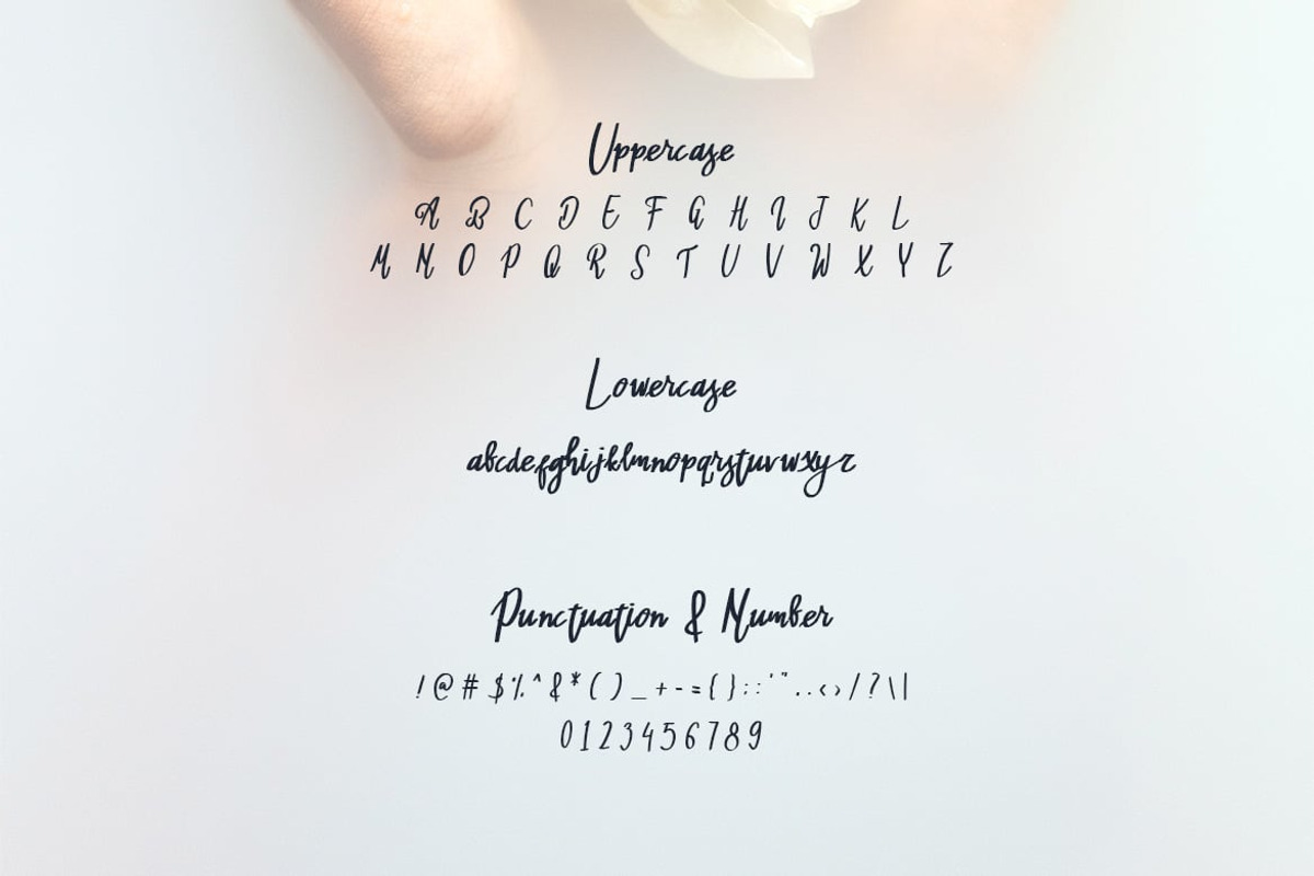 Hanley - Elegant Script Font, a Script Font by Luna Shop (Photo 2 of 7)