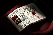 Broadest - Swash Decorative Serif, a Serif Font by Shakira Studio (Thumbnail 7 of 10)