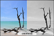 Ilford Films LUTs, a Plug-in Add-On by Raztrend (Thumbnail 11 of 30)
