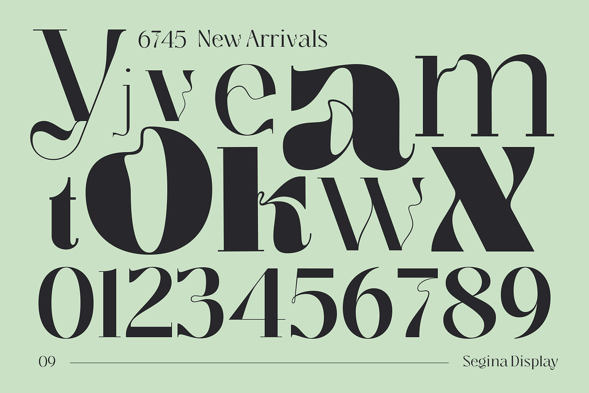 Segina - Decorative Serif, a Serif Font by creativemedialab (Photo 7 of 12)