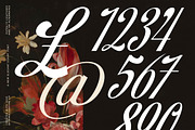 Brellight Elegant Script Font, a Script Font by timelesstype.co (Thumbnail 14 of 20)