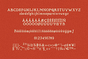 Rowdin Serif, a Serif Font by AROKA (Thumbnail 5 of 10)