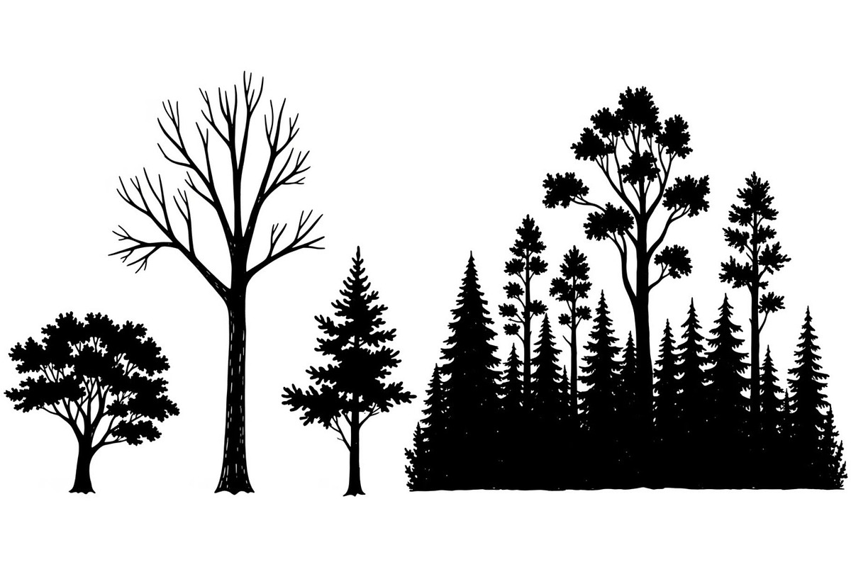 Woodland & Forest Tree Silhouettes B, an Illustration by jahid234 (Photo 21 of 41)