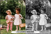 Leica Film Styles, a Plug-in Add-On by Raztrend (Thumbnail 9 of 30)