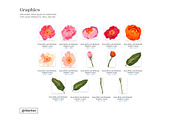 Lush Bold Botanical Floral Pattern, a Pattern Graphic by likorbut (Thumbnail 6 of 13)