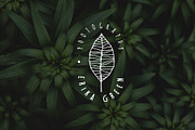 Feminine premade hand drawn logo 01, a Branding & Logo Template by Nues Design (Thumbnail 3 of 11)