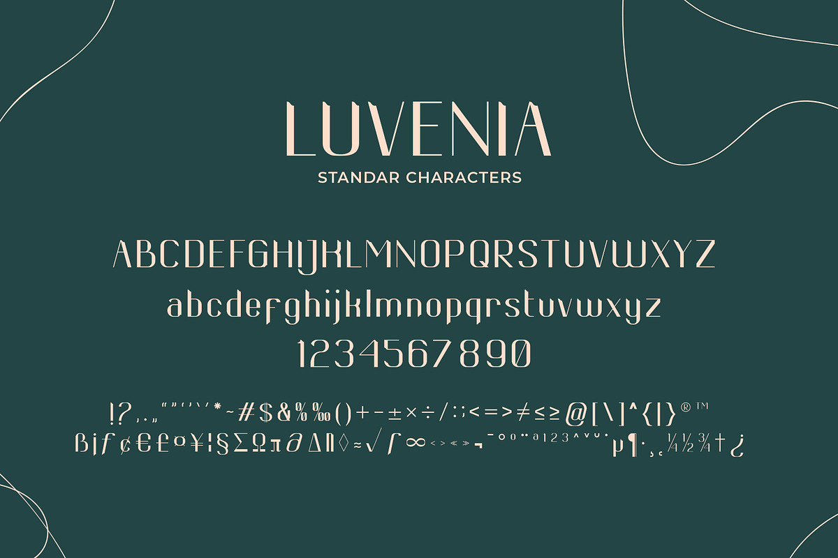 Luvenia sans serif modern, a Sans Serif Font by Missingfont.std (Photo 5 of 12)