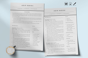 Financial Analyst Resume Template