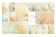 Hazy Botanical Vellum Backgrounds, a Graphic by DigitalDream (Thumbnail 3 of 9)