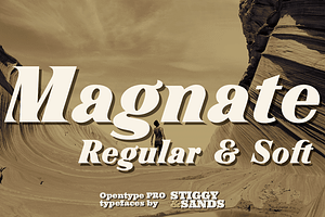 Magnate