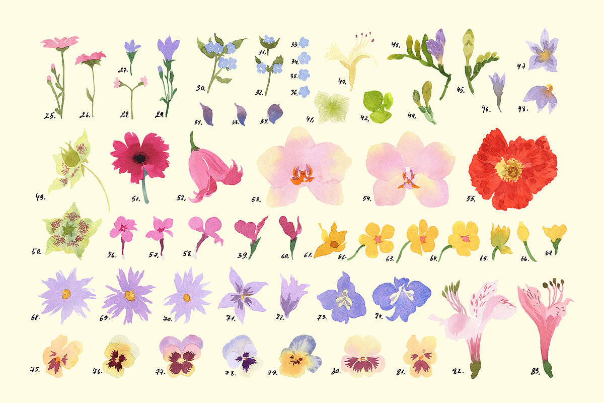 Watercolor flowers, a Pattern Graphic by NKTN (Photo 13 of 15)