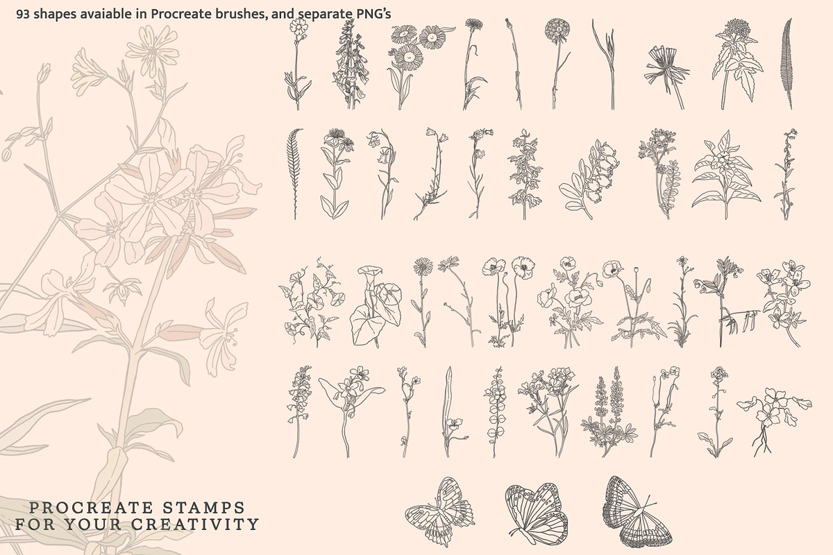 Procreate Stamps Wildflowers, a Brush Add-On by Pink Studio Art