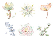 Watercolor Succulent Plants, an Object Illustration by ArtbyHien (Thumbnail 4 of 4)