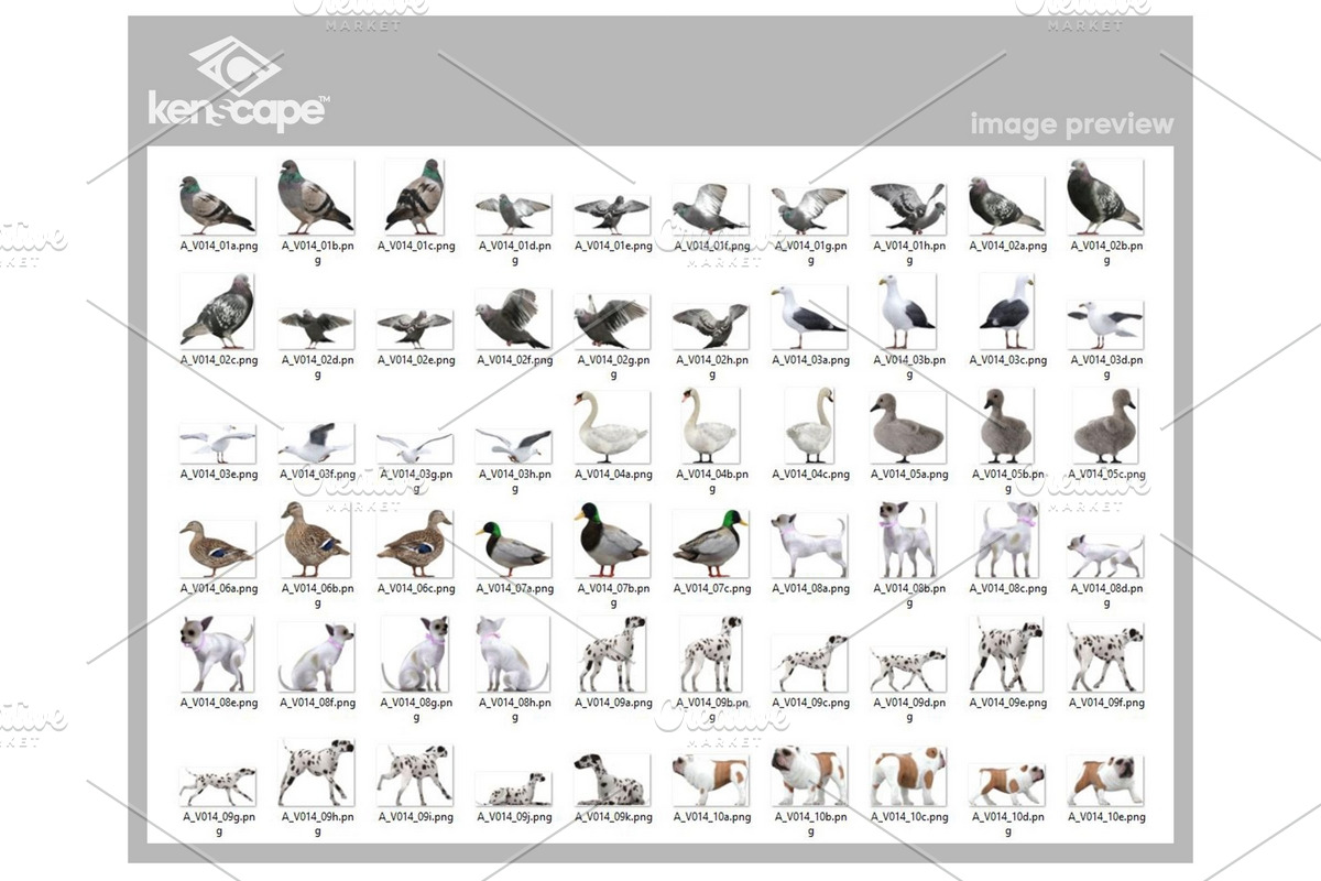 120 Pet/Farm Animals Photo Overlays, an Animal Photo by KenScape (Photo 3 of 4)
