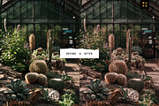 Fallentina Autumn Lightroom Presets, a Preset Add-On by SHOOM HOUSE (Thumbnail 8 of 8)