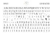 Dincy – Elegant Serif, a Serif Font by Craft Supply Co. (Thumbnail 4 of 8)