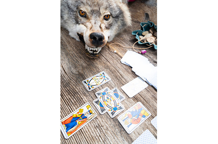 Fortune telling on tarot cards, an Abstract Photo by Neirfy