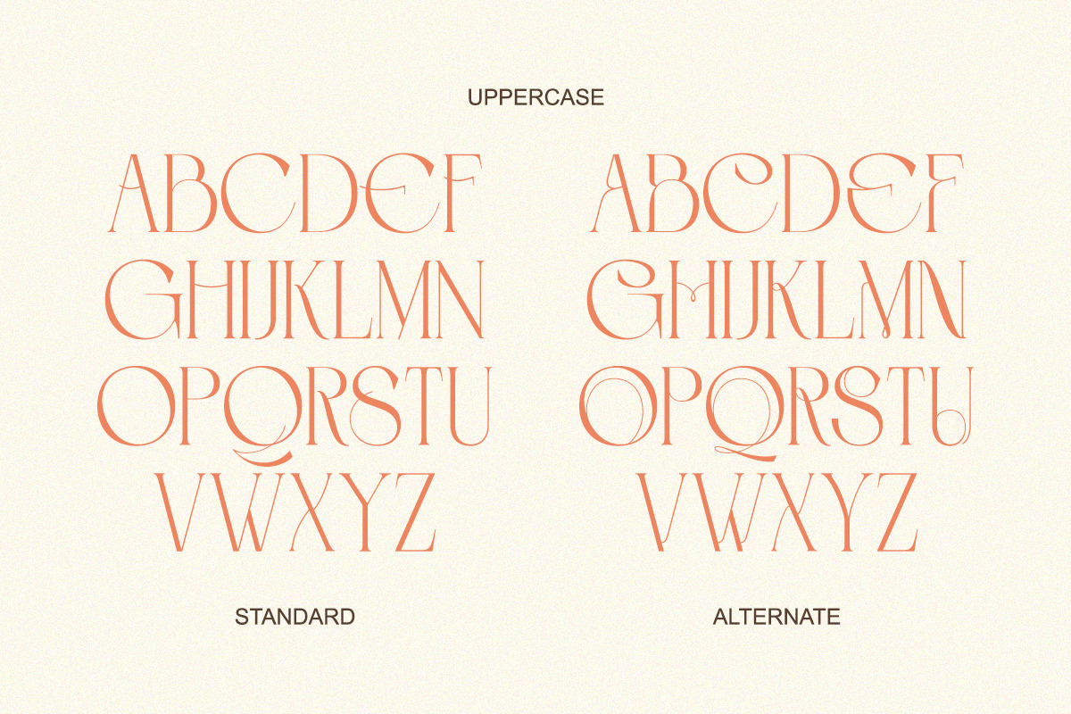 Roselight - Modern Elegant Display, a Serif Font by Qweera Studio (Photo 10 of 12)