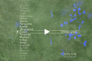Veine Verte Botanical Backgrounds, a Background Graphic by alonahaidash (Thumbnail 16 of 20)
