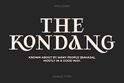 Rollions - Display Serif Font, a Serif Font by Zarma Type (Thumbnail 9 of 12)