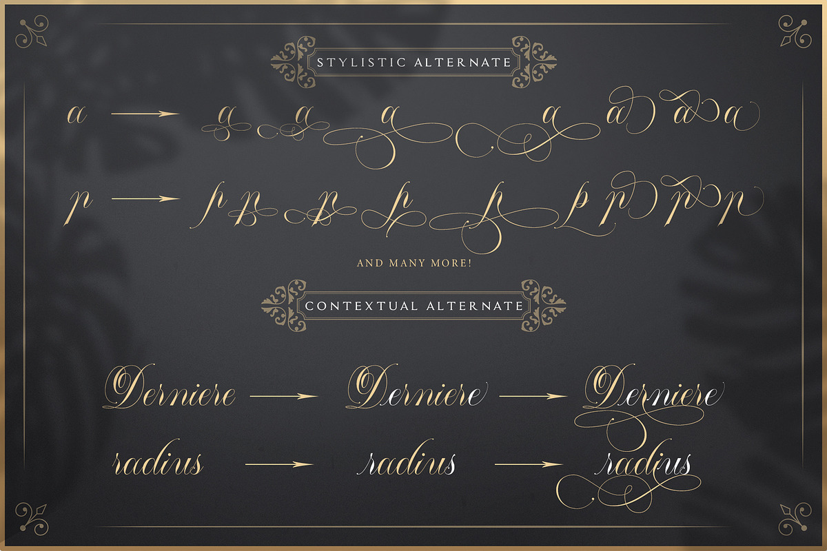 Valentine Exclusive Font || Mallaire, a Script Font by Rochart (Photo 6 of 18)