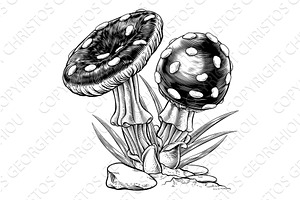 Mushrooms Toadstools Vintage, an Illustration by Christos Georghiou