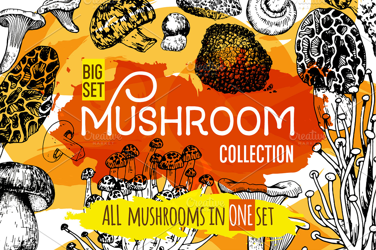 Mushrooms. Big set. 84 objects, a Decorative Illustration by Alena Kaz (Photo 1 of 8)