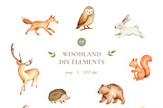 Woodland Watercolor Illustrations, an Animal Illustration by Liliia Polos Illustration (Thumbnail 15 of 16)