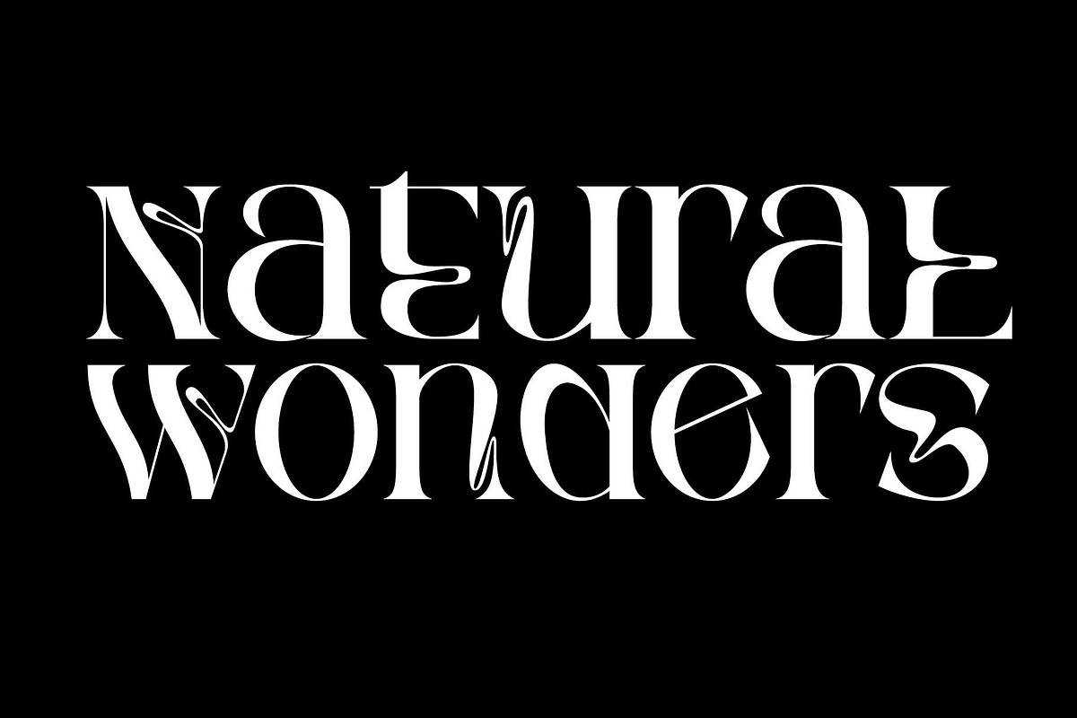 Rghs Font Family, a Serif Font by Ryul Davidson (Photo 5 of 15)