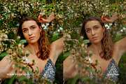 Kodak Ektar 100 III, a Preset Add-On by colorituals (Thumbnail 3 of 8)
