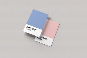 Pantone Card Mockups