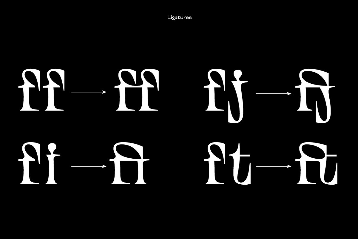 TT Alientz, a Serif Font by TypeType (Photo 13 of 15)