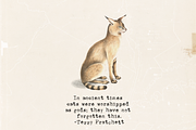 Unexpected Typewriter font, a Serif Font by Ana's Fonts (Thumbnail 4 of 4)
