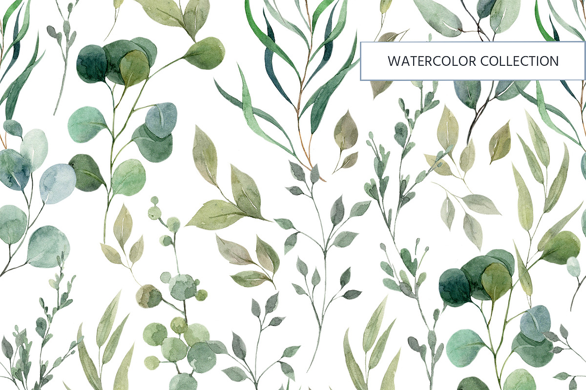 Herbal watercolor collection, a Pattern Graphic by HannaStudio (Photo 5 of 8)