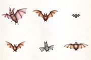 Flying Bat Pattern Clipart, an Illustration by CrexoraLab (Thumbnail 3 of 5)