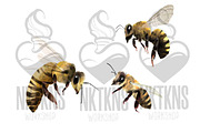 Watercolor Clipart Bee Art BumbleBee, an Animal Illustration by NKTKNS (Thumbnail 3 of 6)