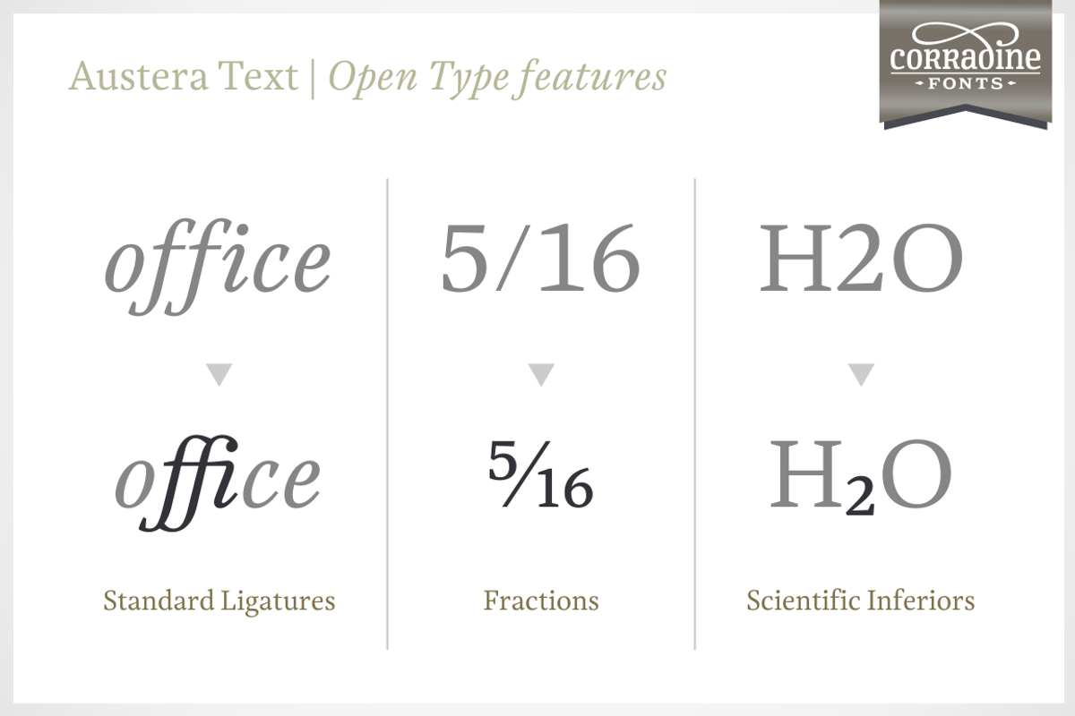 Austera Text Essential #1, a Serif Font by Corradine Fonts (Photo 8 of 14)