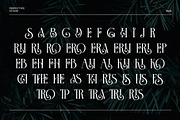 The Chrisera Stylish Serif Font, a Serif Font by Perfectype (Thumbnail 8 of 8)