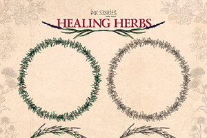 Healing Herbs Botanical Bundle