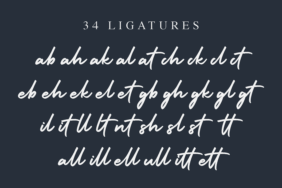 Holiday - Script Handwritten Font, a Script Font by alphArtype (Photo 4 of 13)
