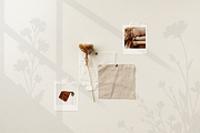 95 Plants & Flowers Shadow Overlays, an Object Graphic by Matisse Studio (Thumbnail 5 of 9)
